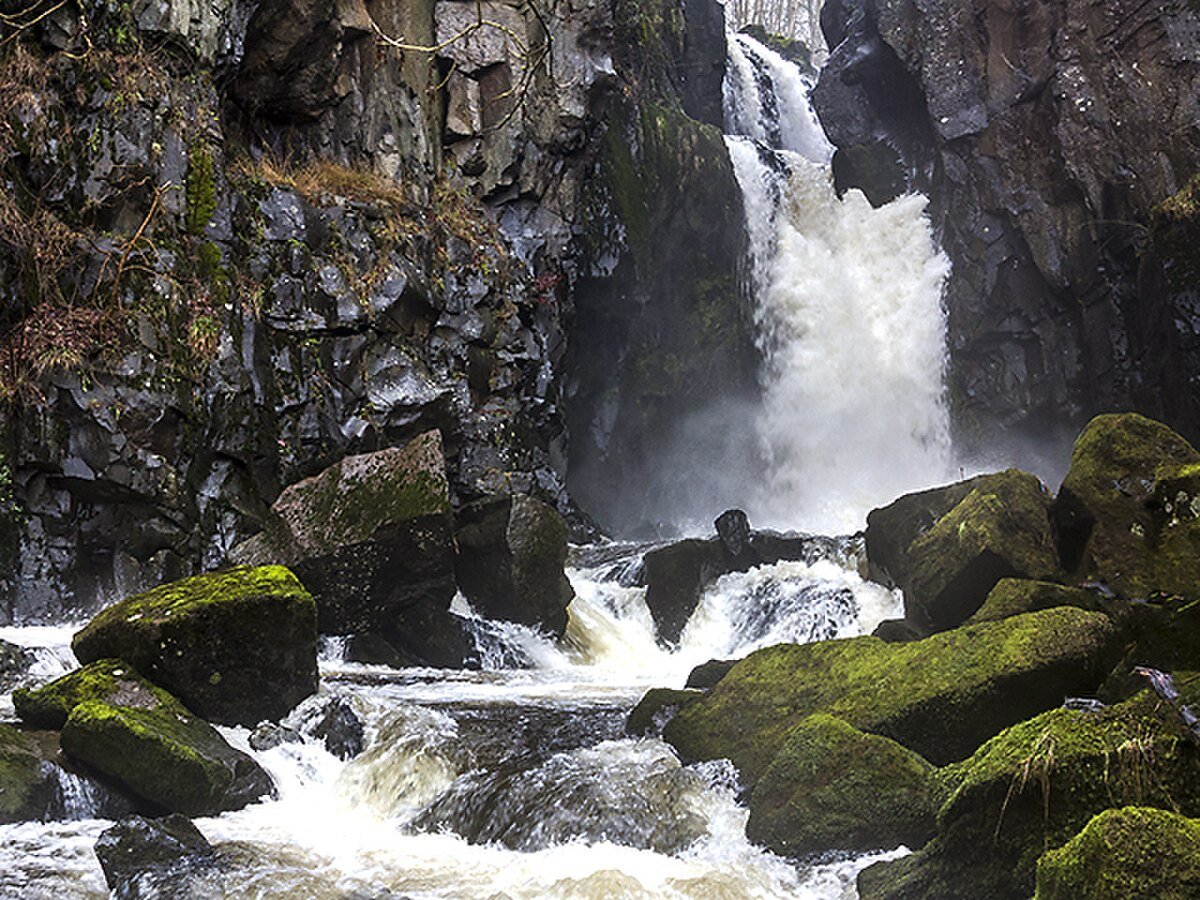 Cauldron Linn