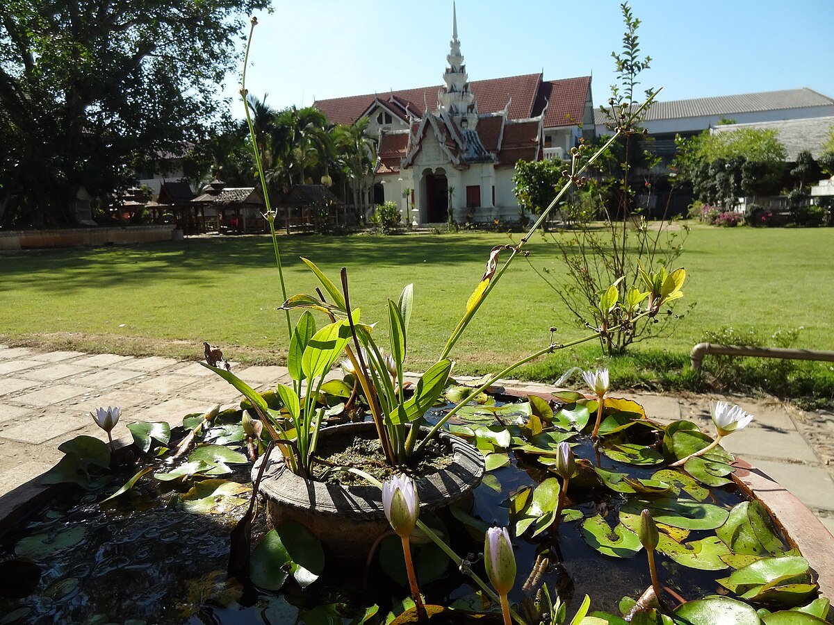 Wat Kukut