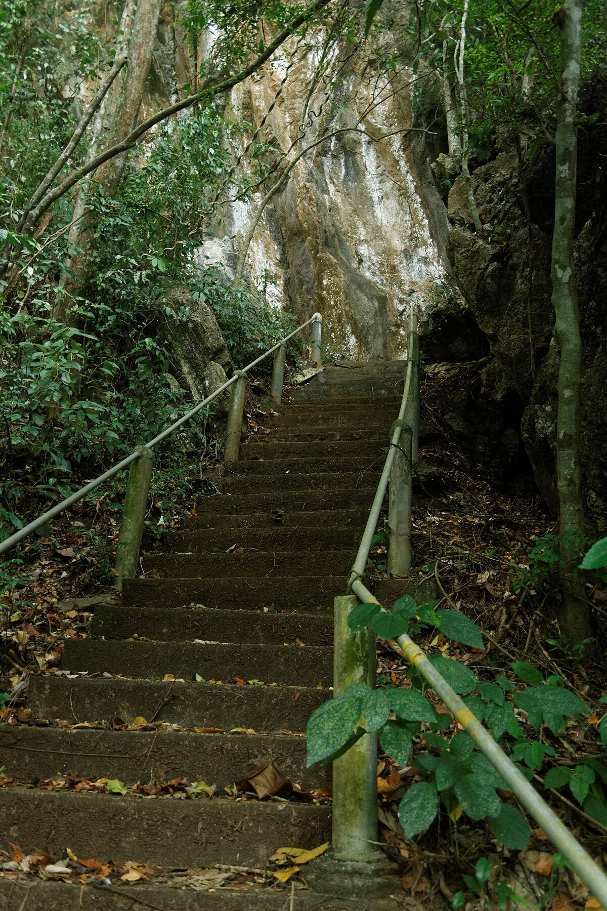 Tham Chom Thong