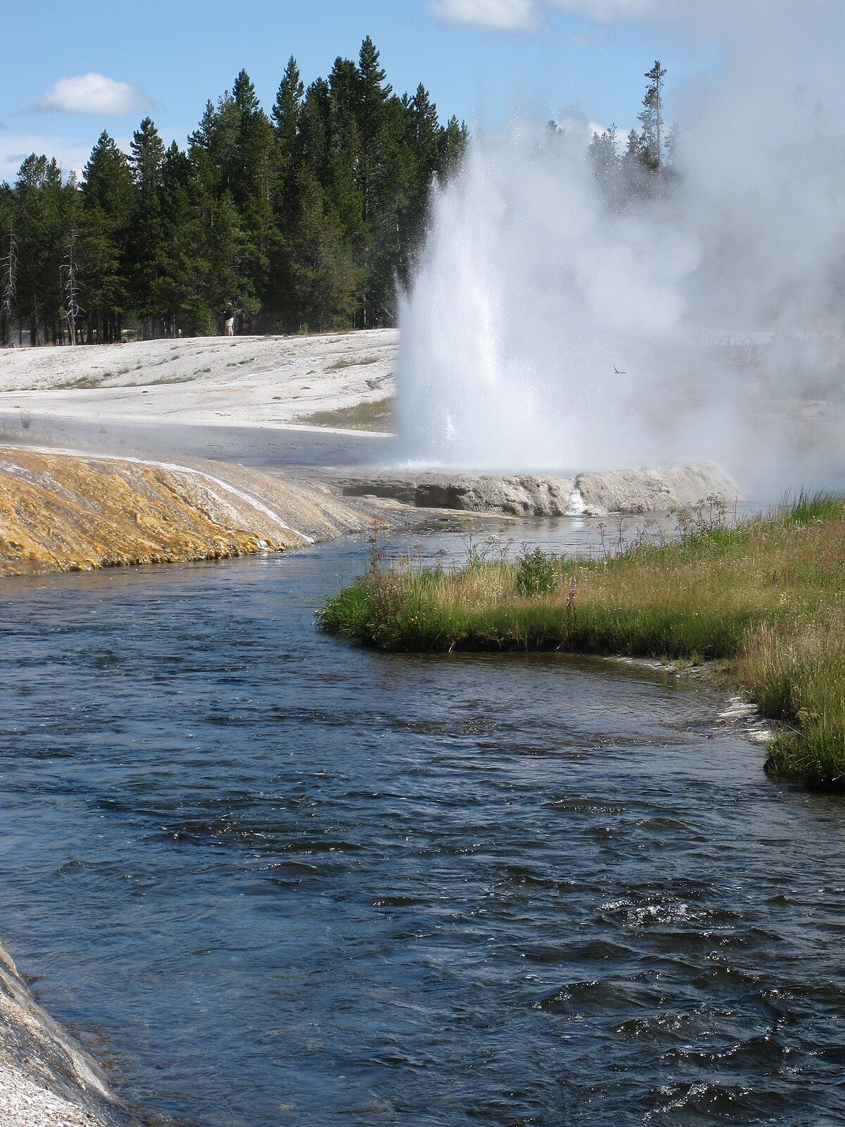 Limekiln Spring