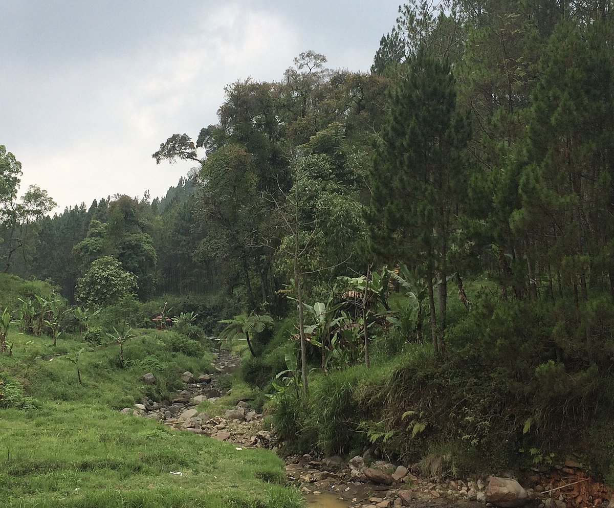 Coban Talun