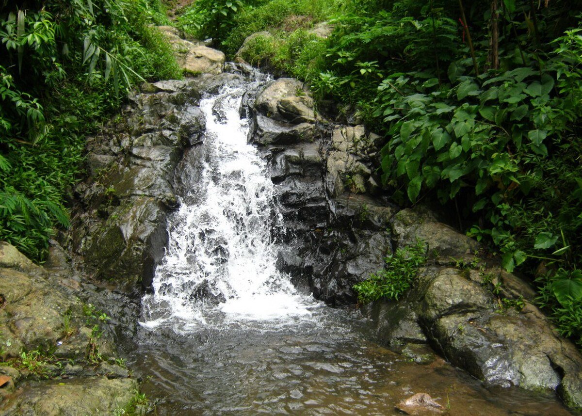 Palintang