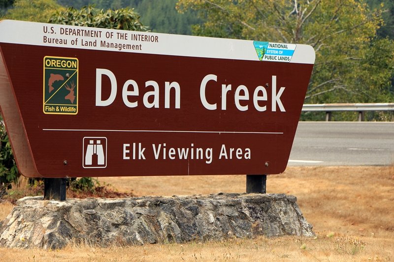 Cottonwood Wildlife Viewing Platform