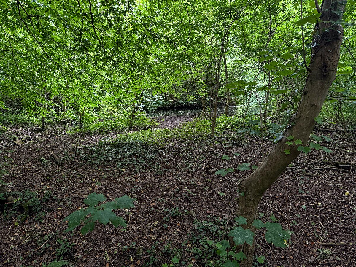 Bathing Pond About 650 Metres South East Of Gable Farm