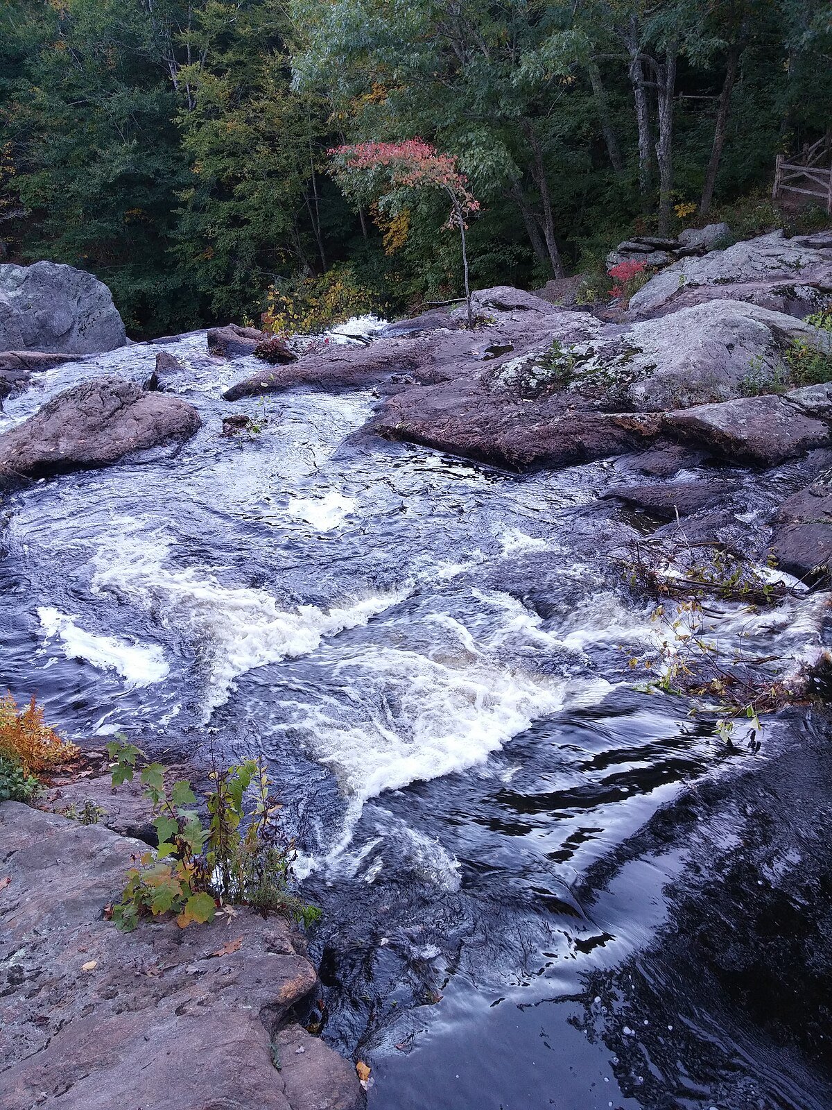 Chapman Falls
