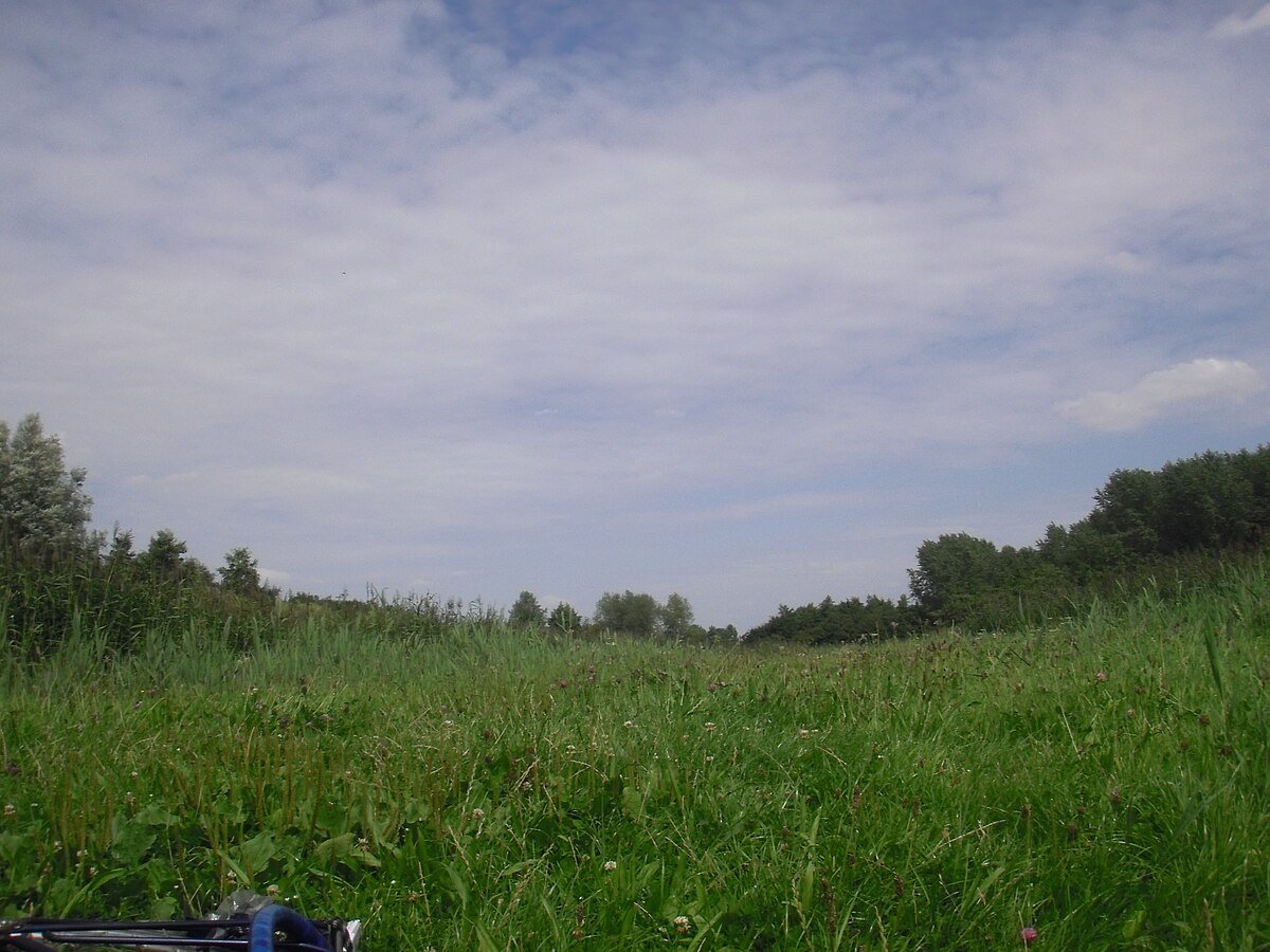 Dobbeplas