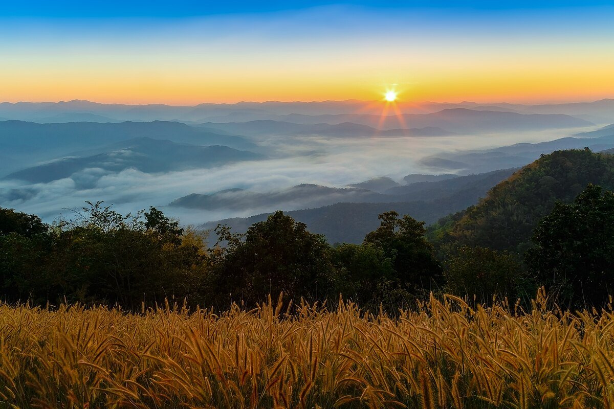 Doi Cham Pia