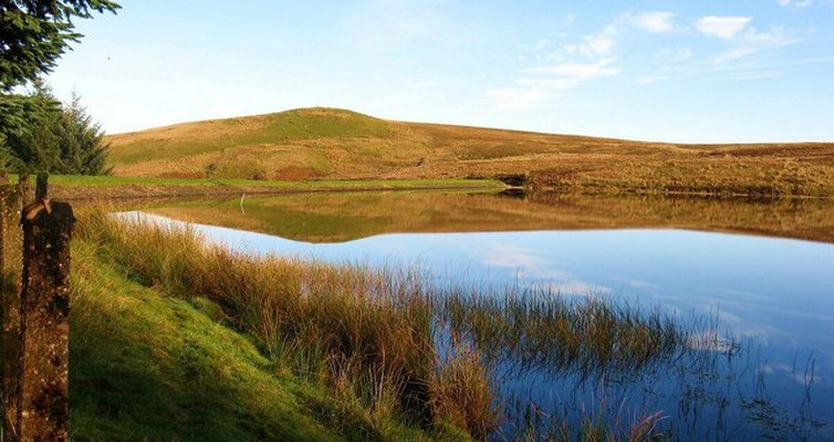 Black Linn Reservoir
