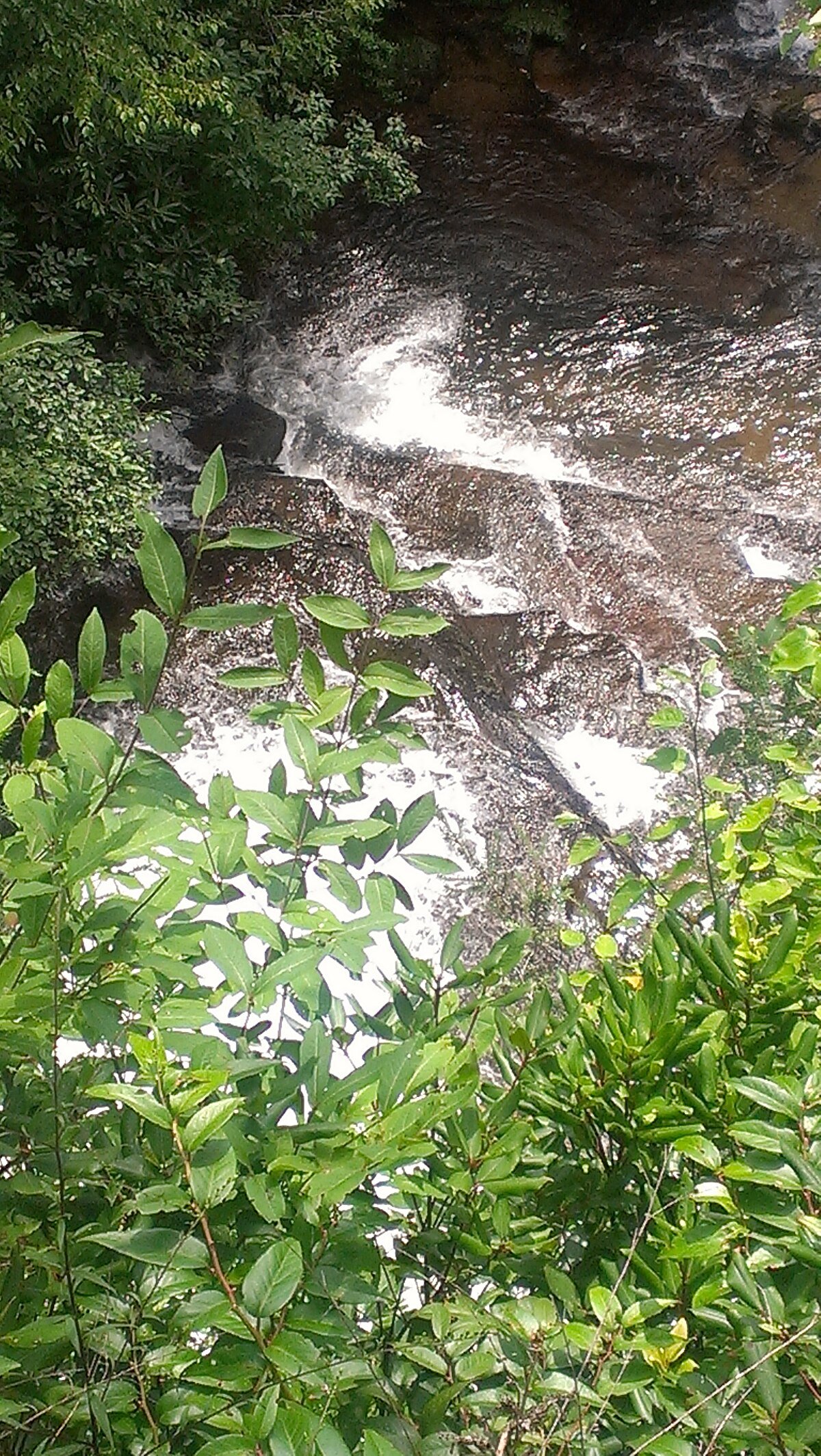 Connestee Falls and Batson Creek Falls