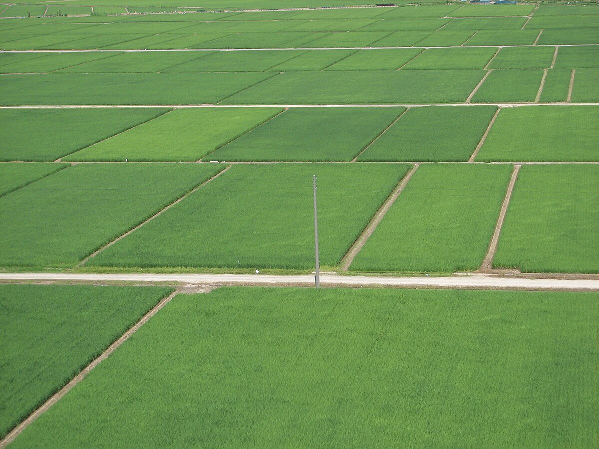 Lake Fukushimagata