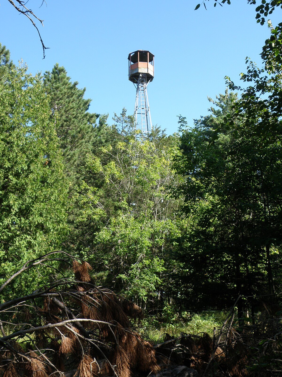 Emily Lookout Tower