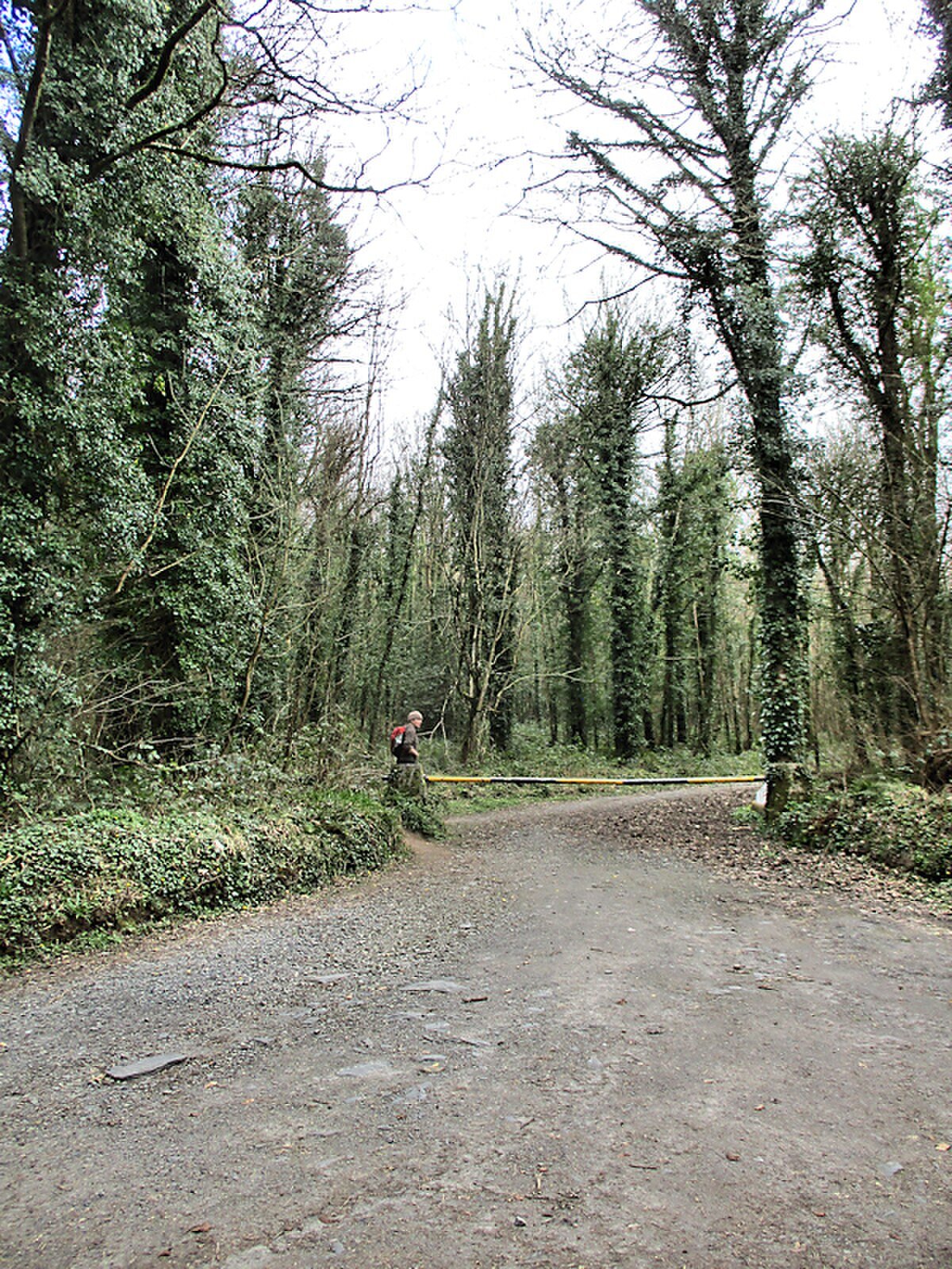 Clashanree Castle (site of)