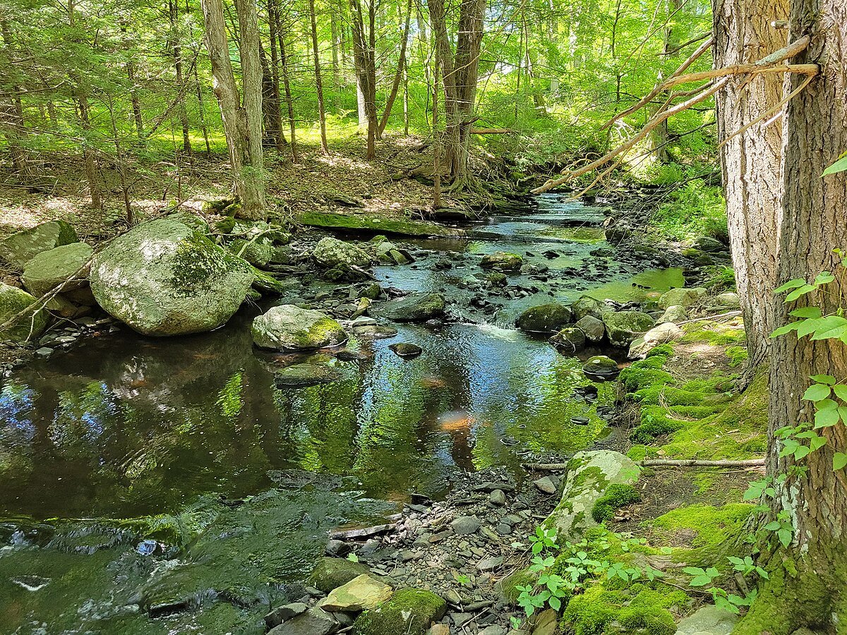 Codfish Falls
