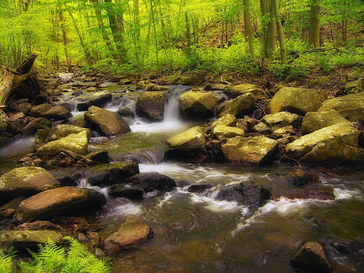 Angens Pond Dam