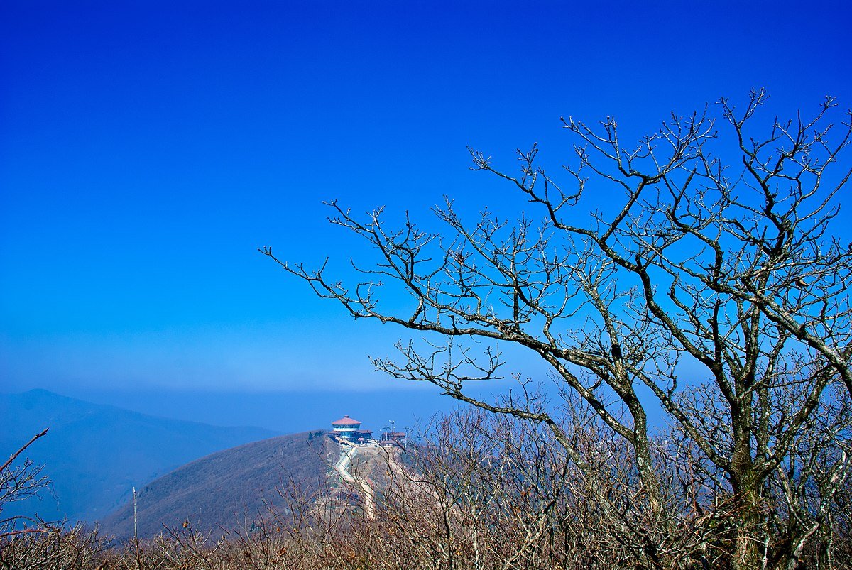 Kukkol-tonggul
