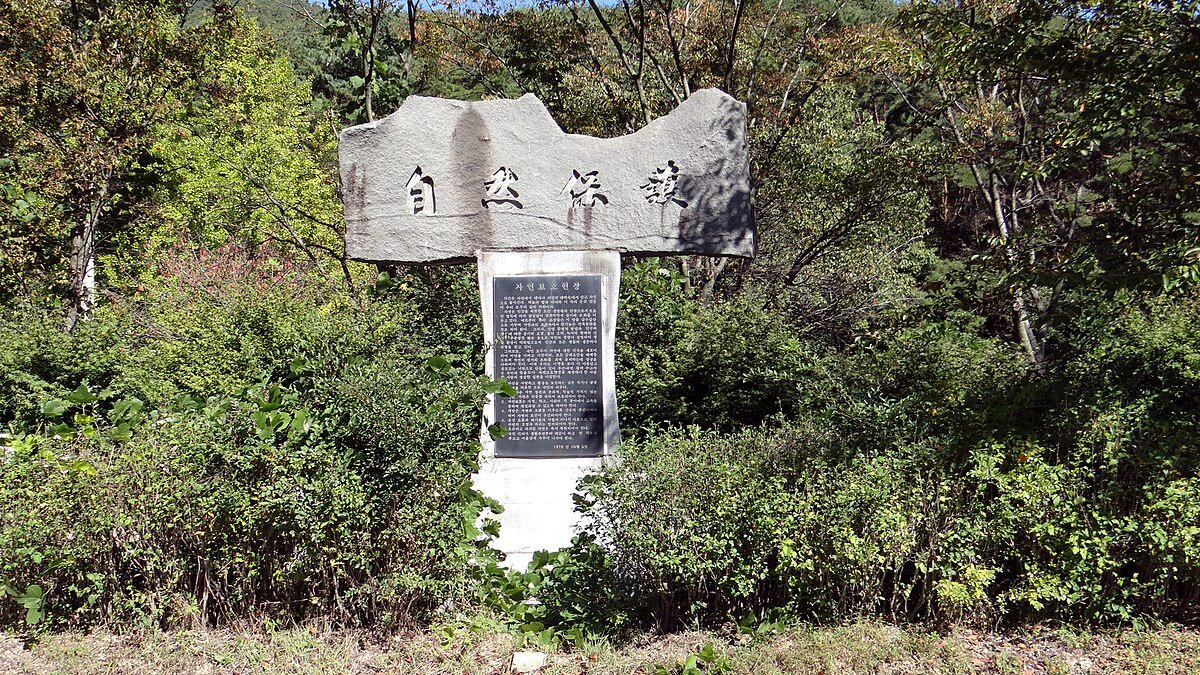 Sasan-jŏsuji