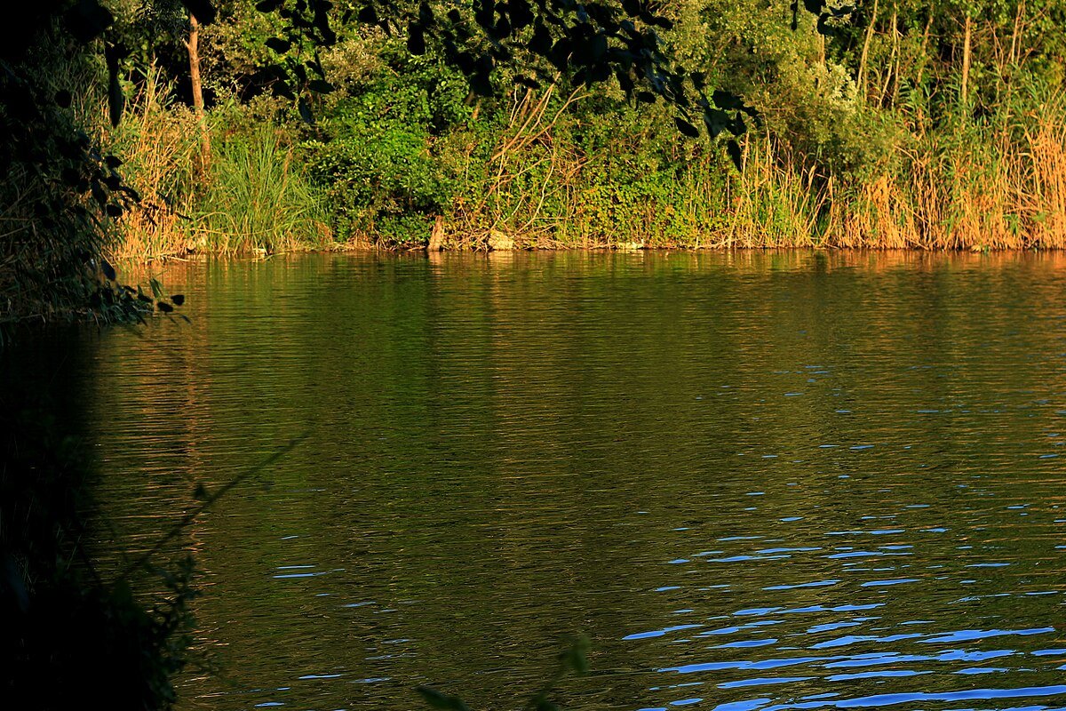 Lake Gaga