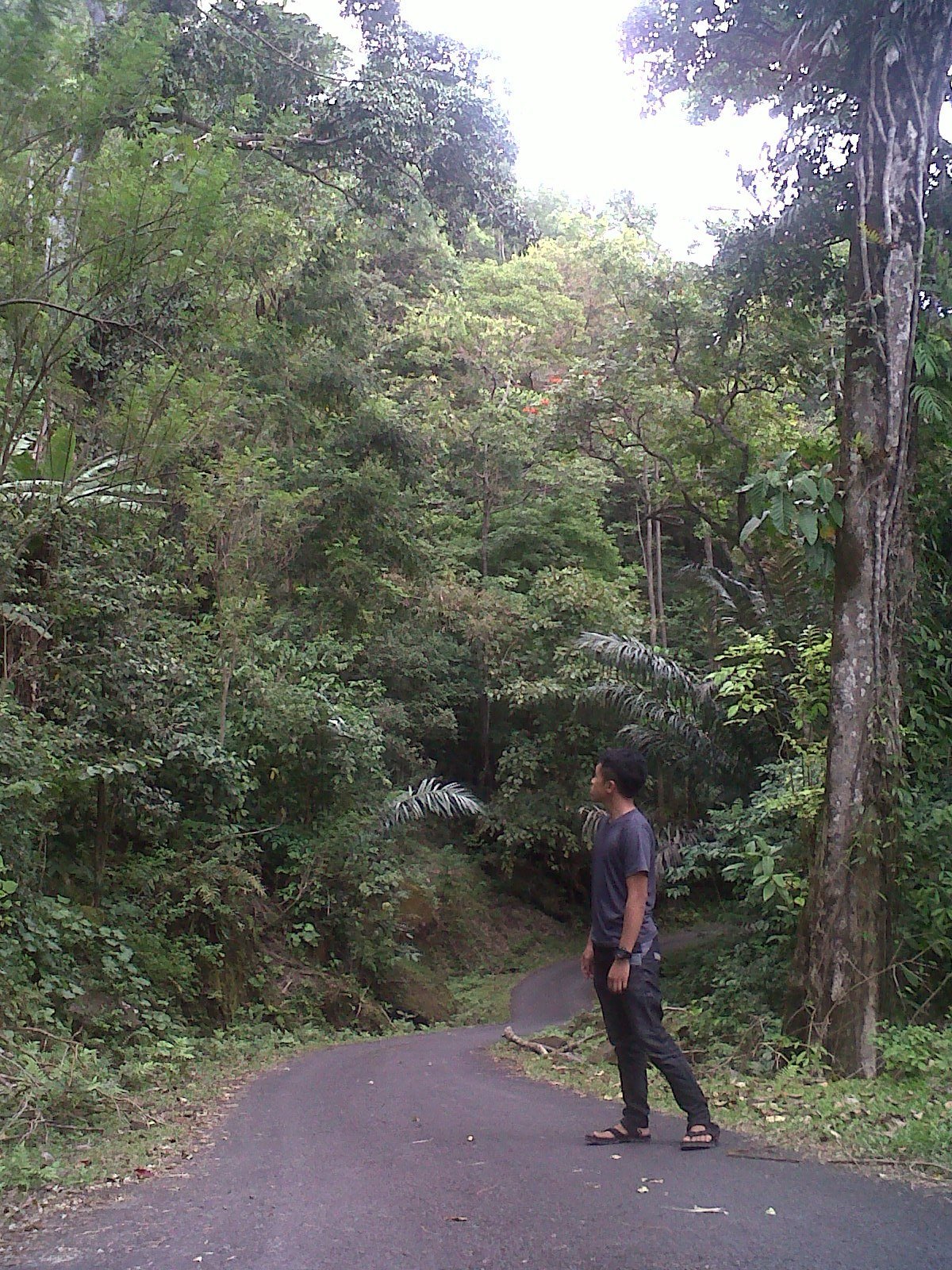 Air Terjun Takapala