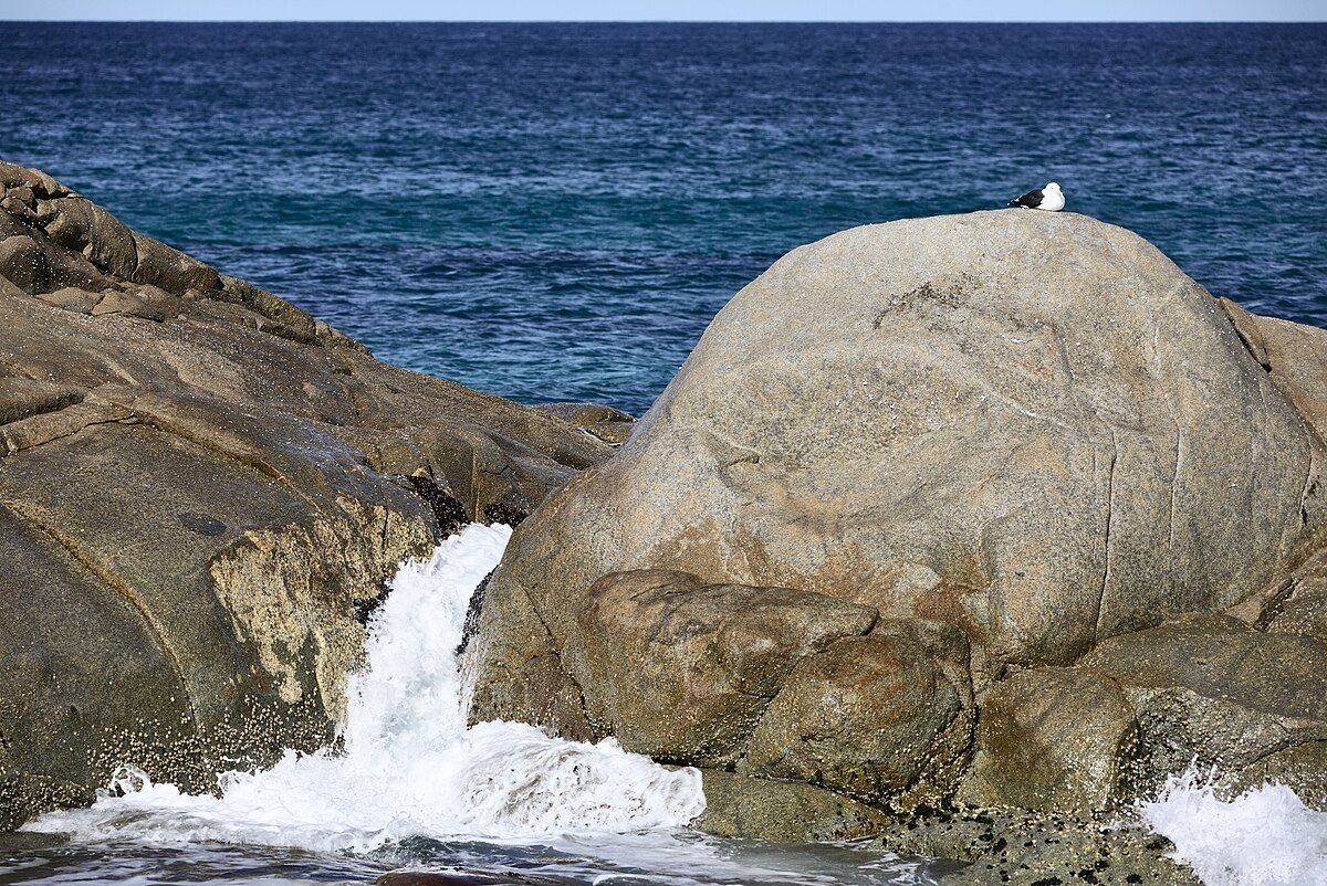 Beerbarrel Beach