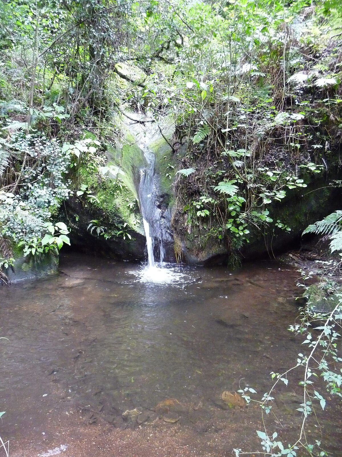 Ladder Cave