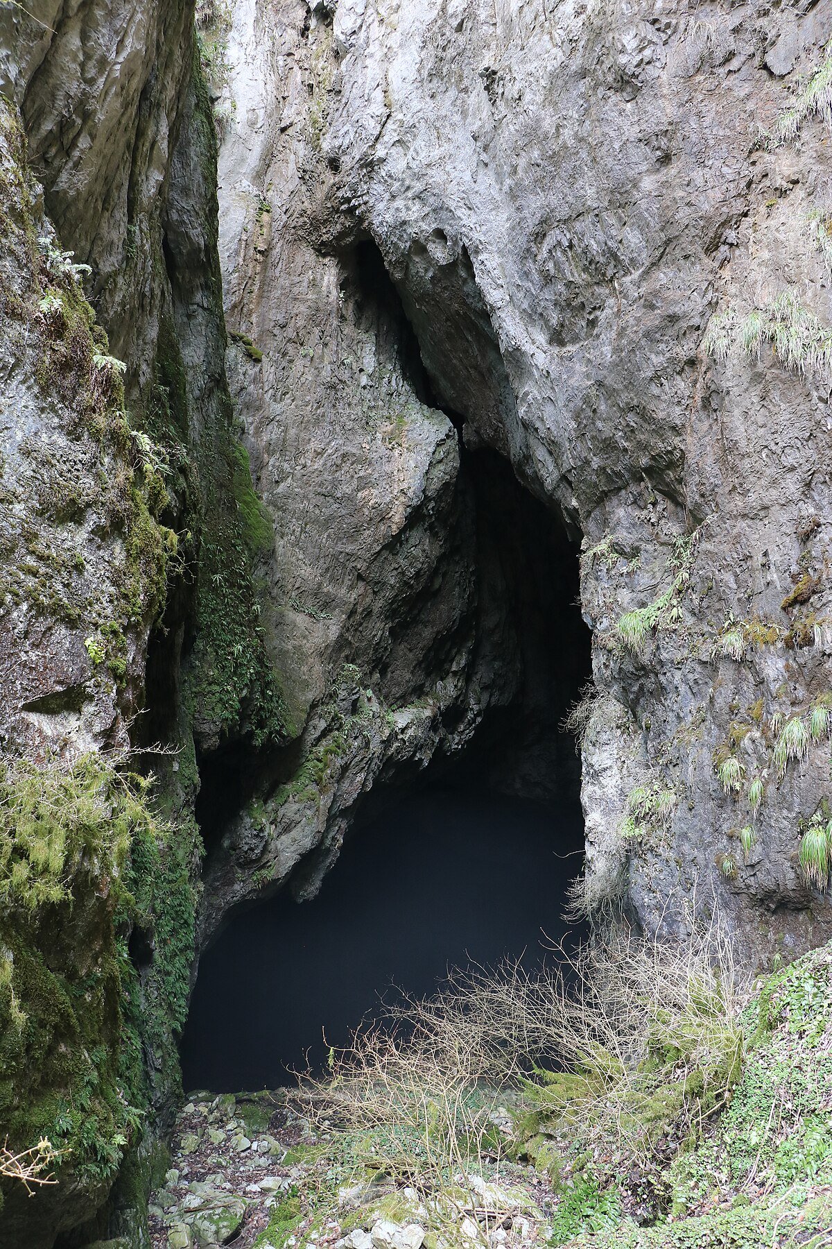 Himesakakanachiana Limestone Cave