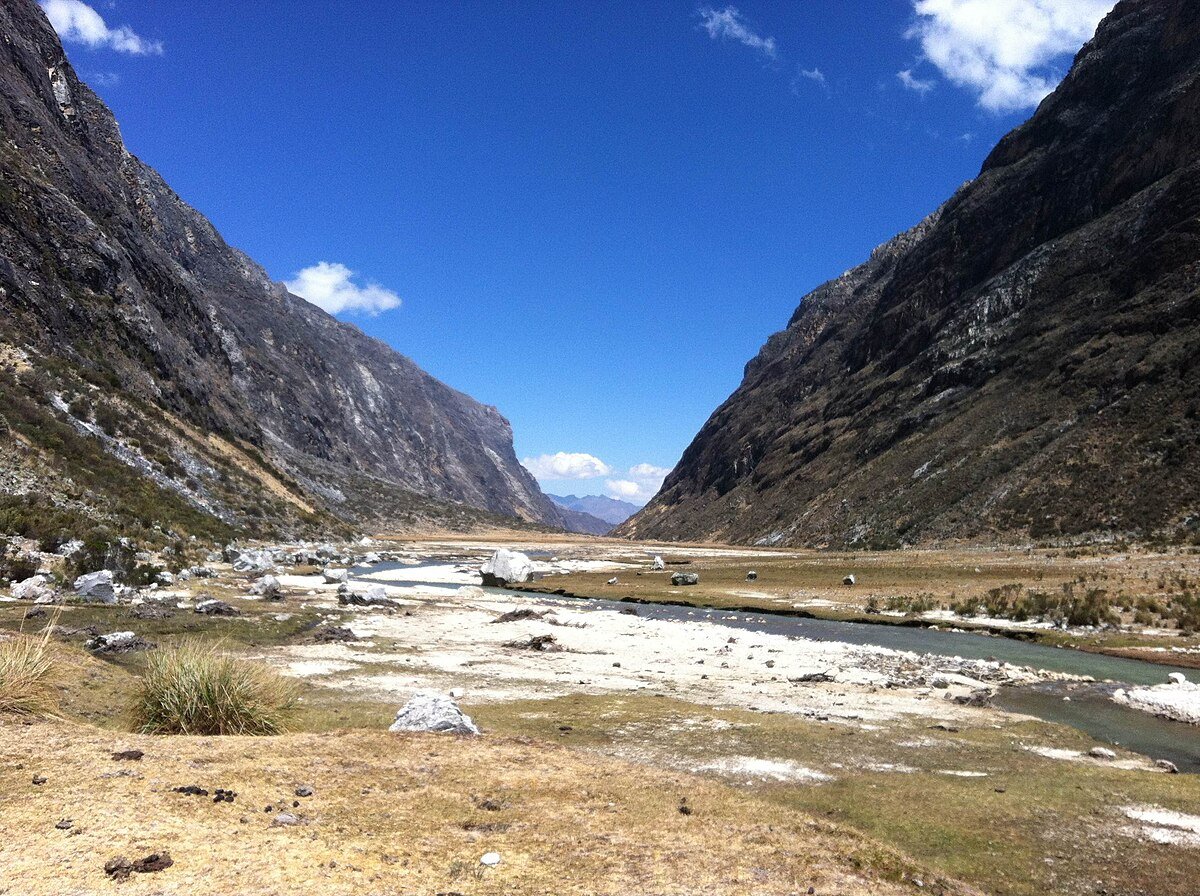 Ichiccocha