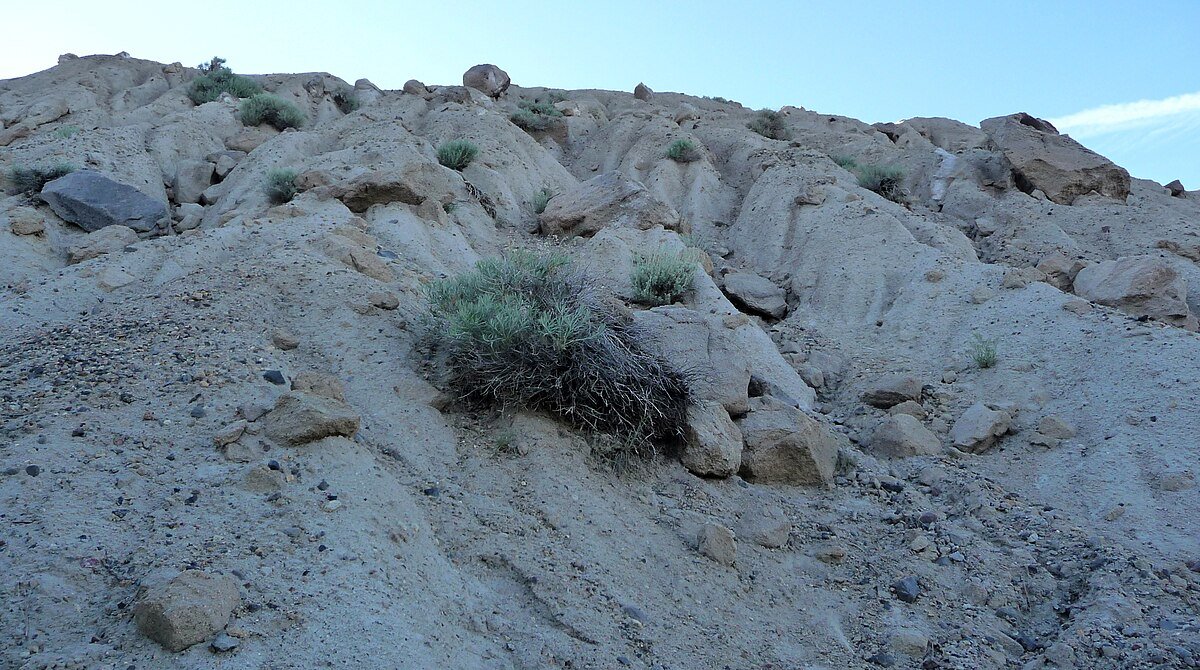 Deer Mountain