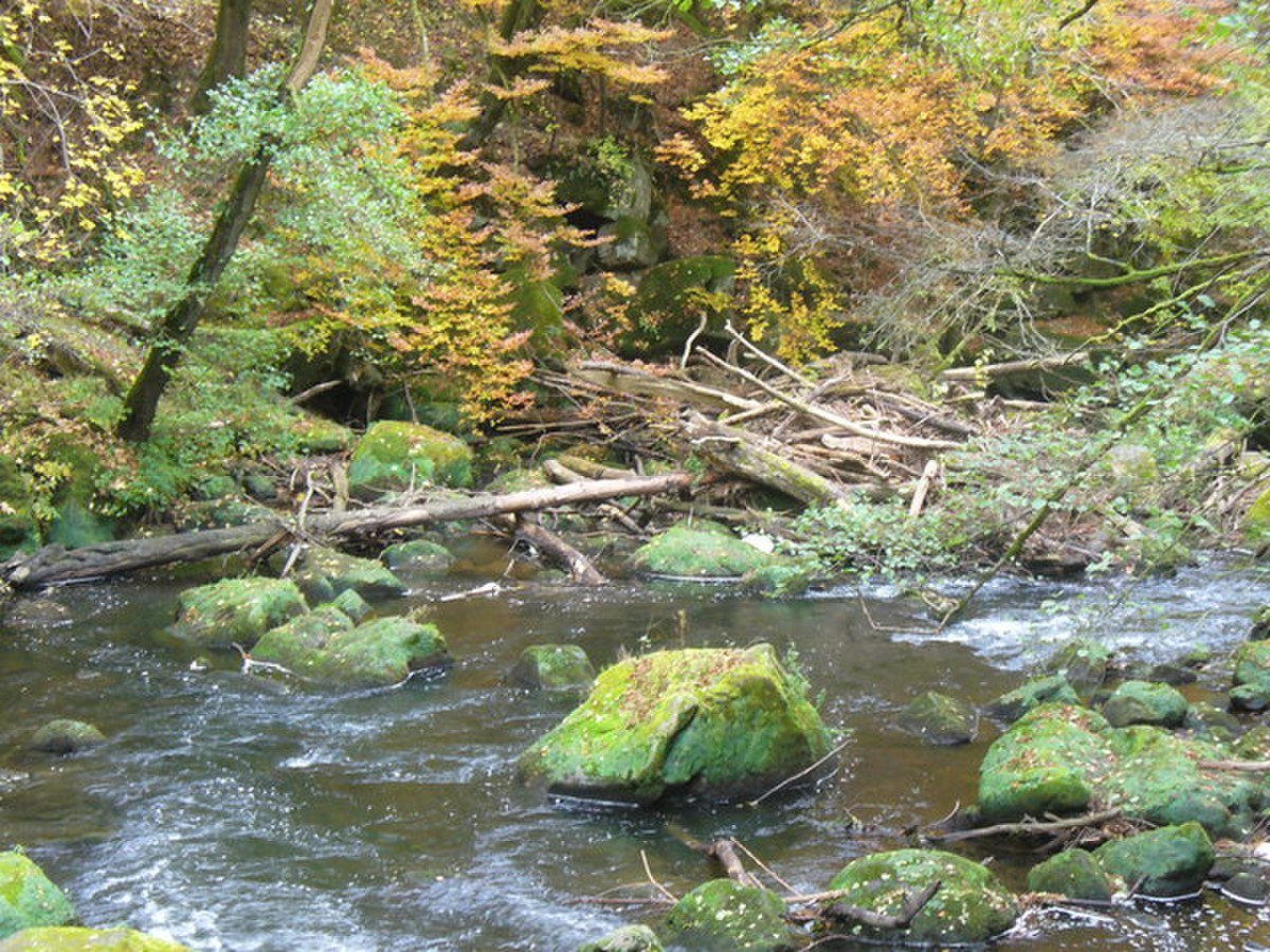 Irreler Wasserfälle