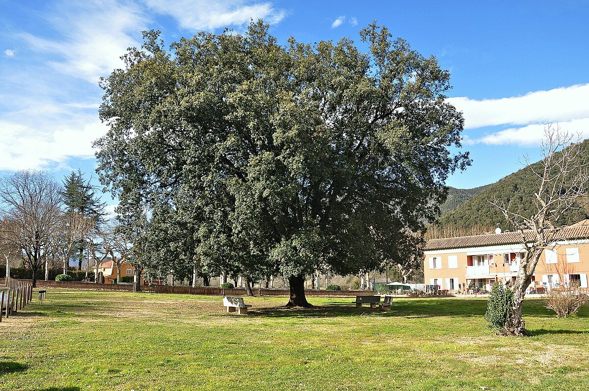 Volcà de Repàs