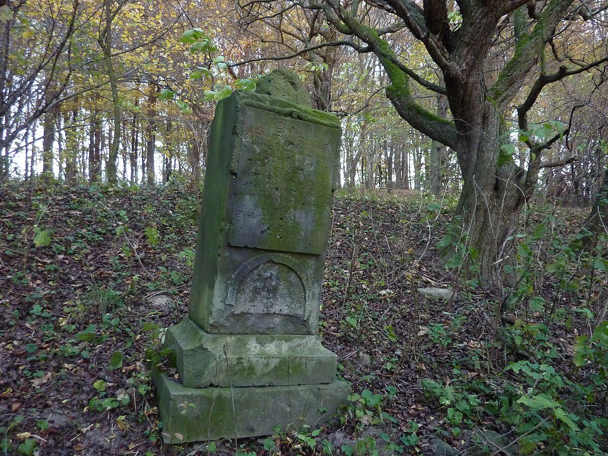 Aussichtsturm Neuberzdorfer Höhe