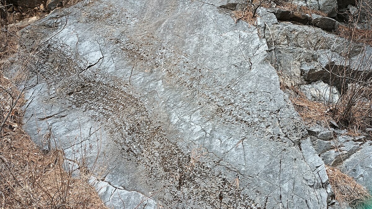 Murung-donggul