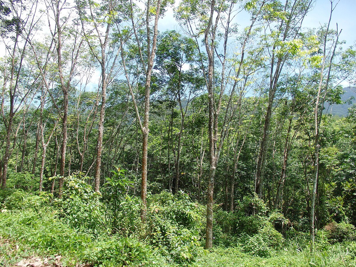 Nam Tok Khao Kaeo