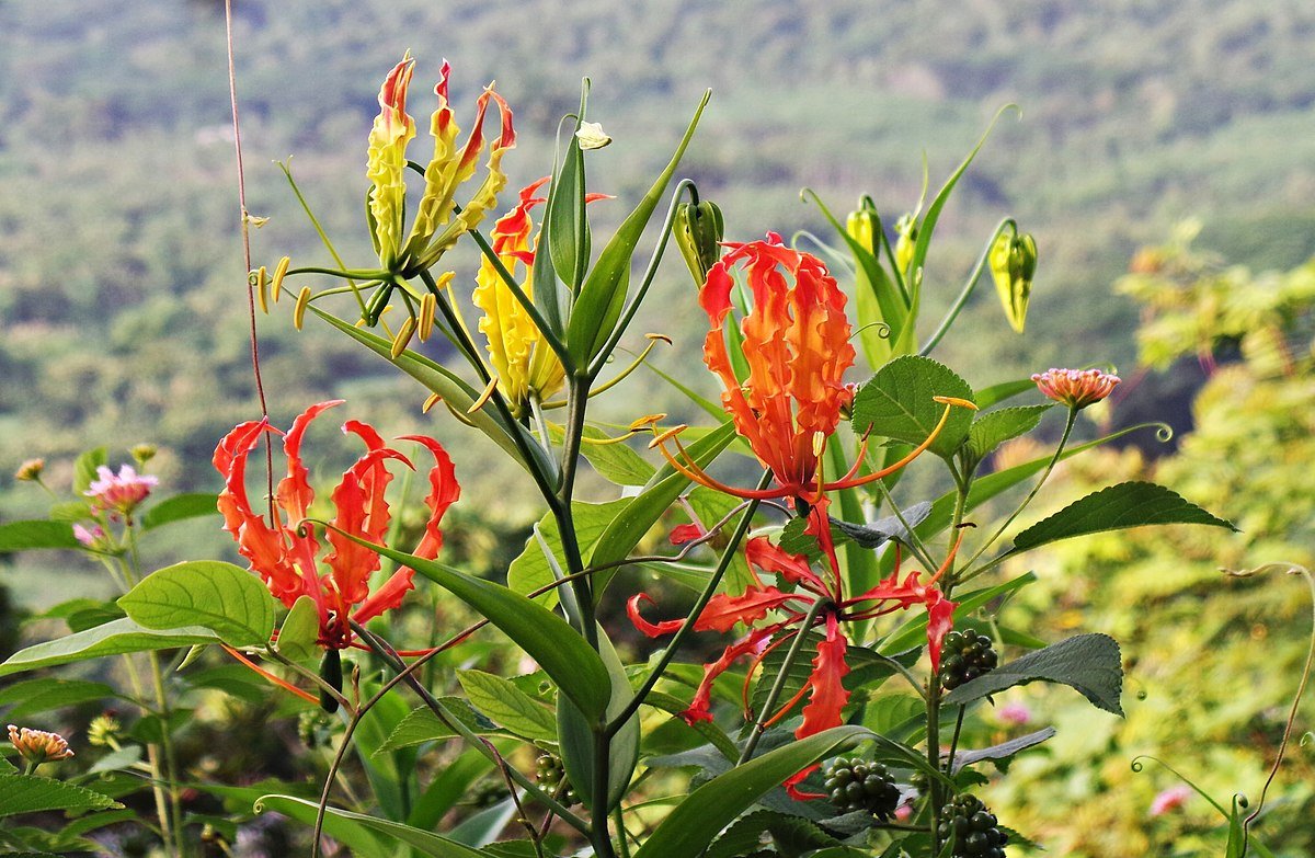 Selomangleng Cave