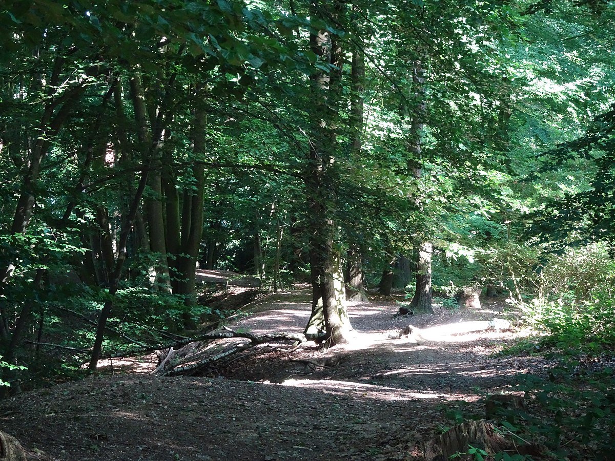 Aussichtsturm Klever Berg