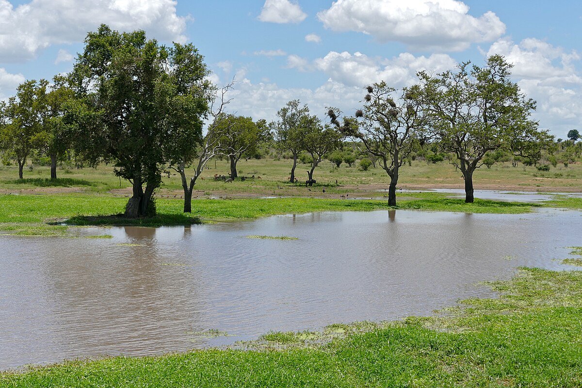 Kumana Dam