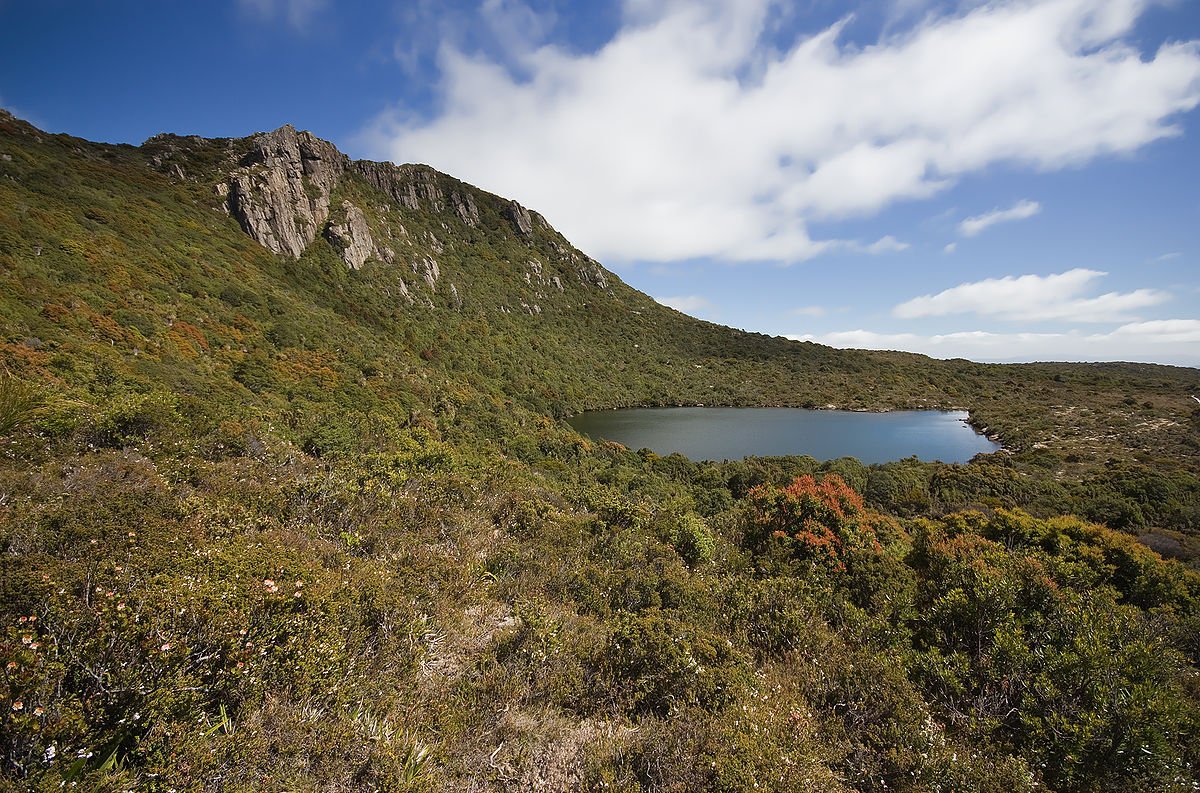 Arthur Tarn