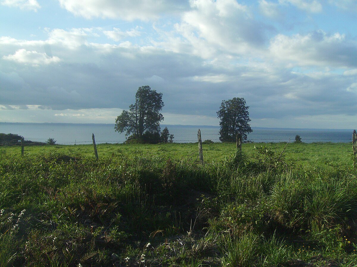 Playa Venado