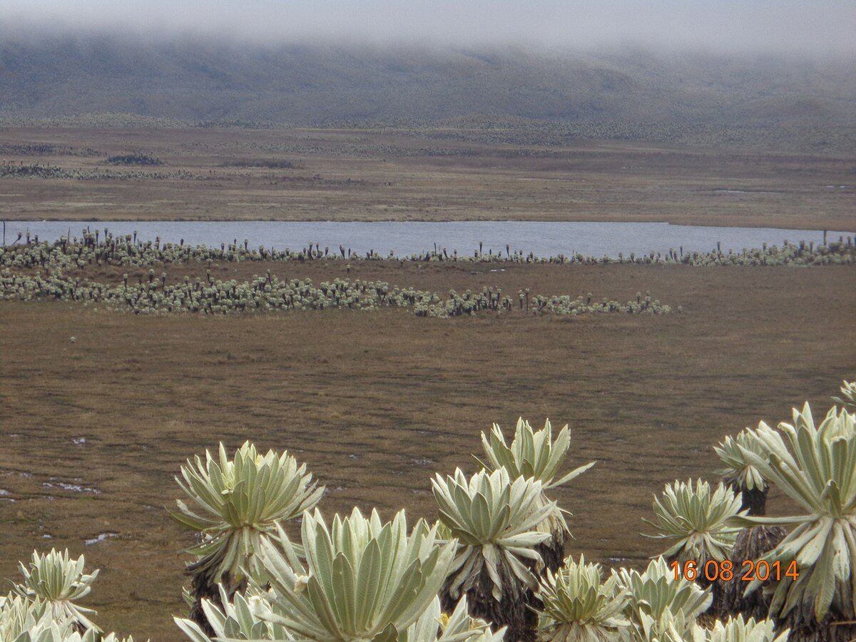 Laguna de Potrerillos