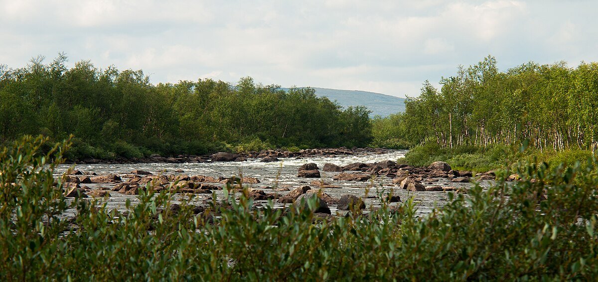 Lammasoaivi