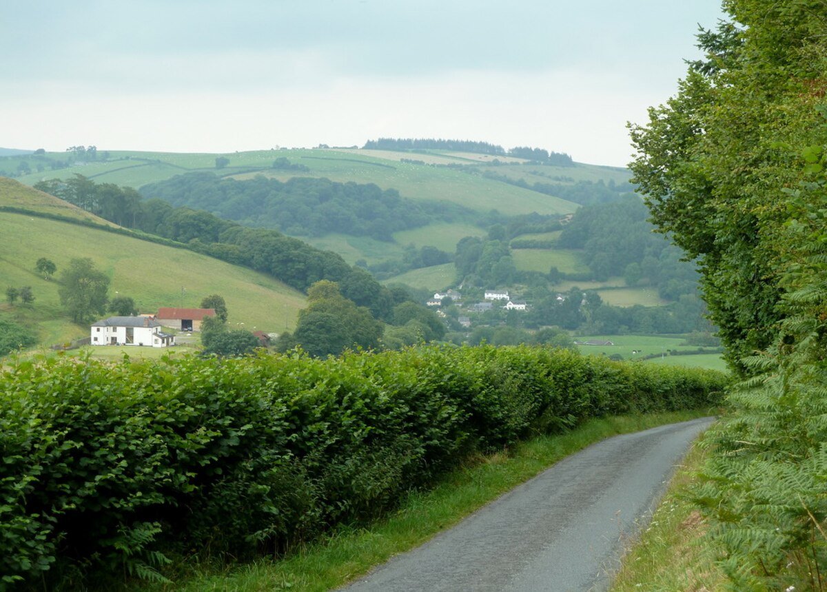 Bailey Farm