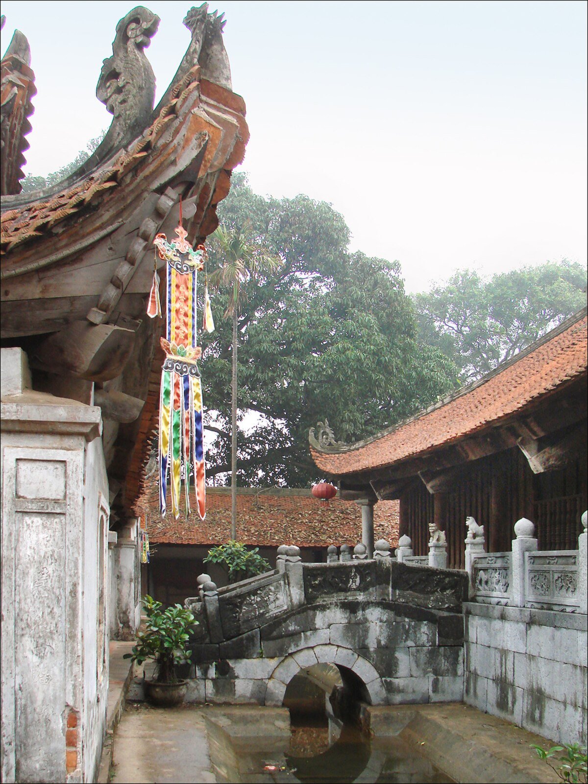 Dâu pagoda