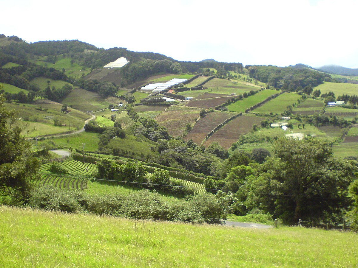 Cerro Barquero