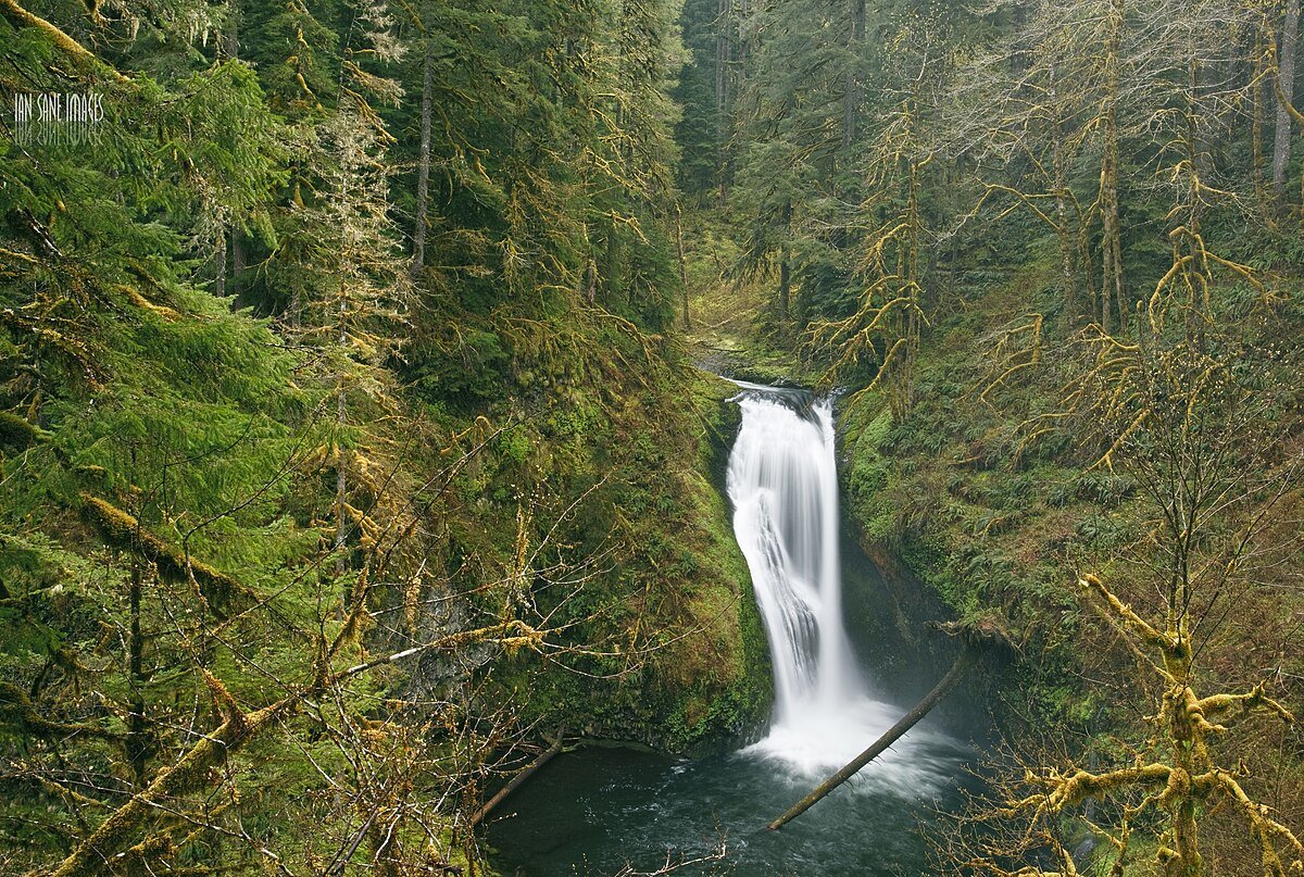 Butte Creek Falls