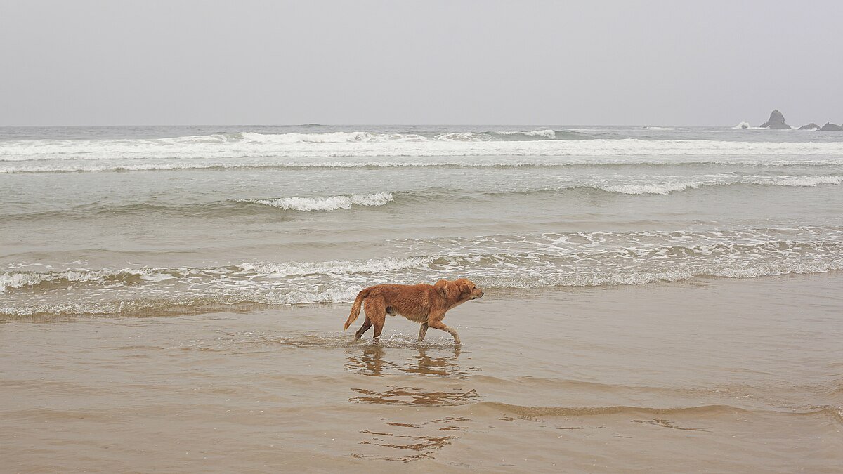 Legzira Beach