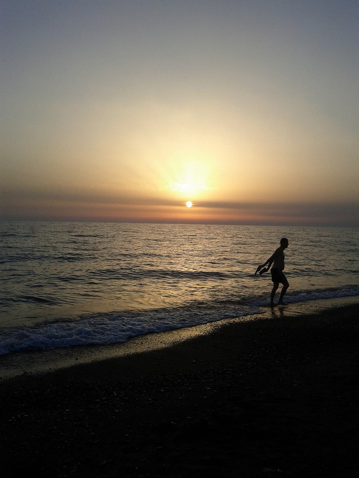 Cormorano