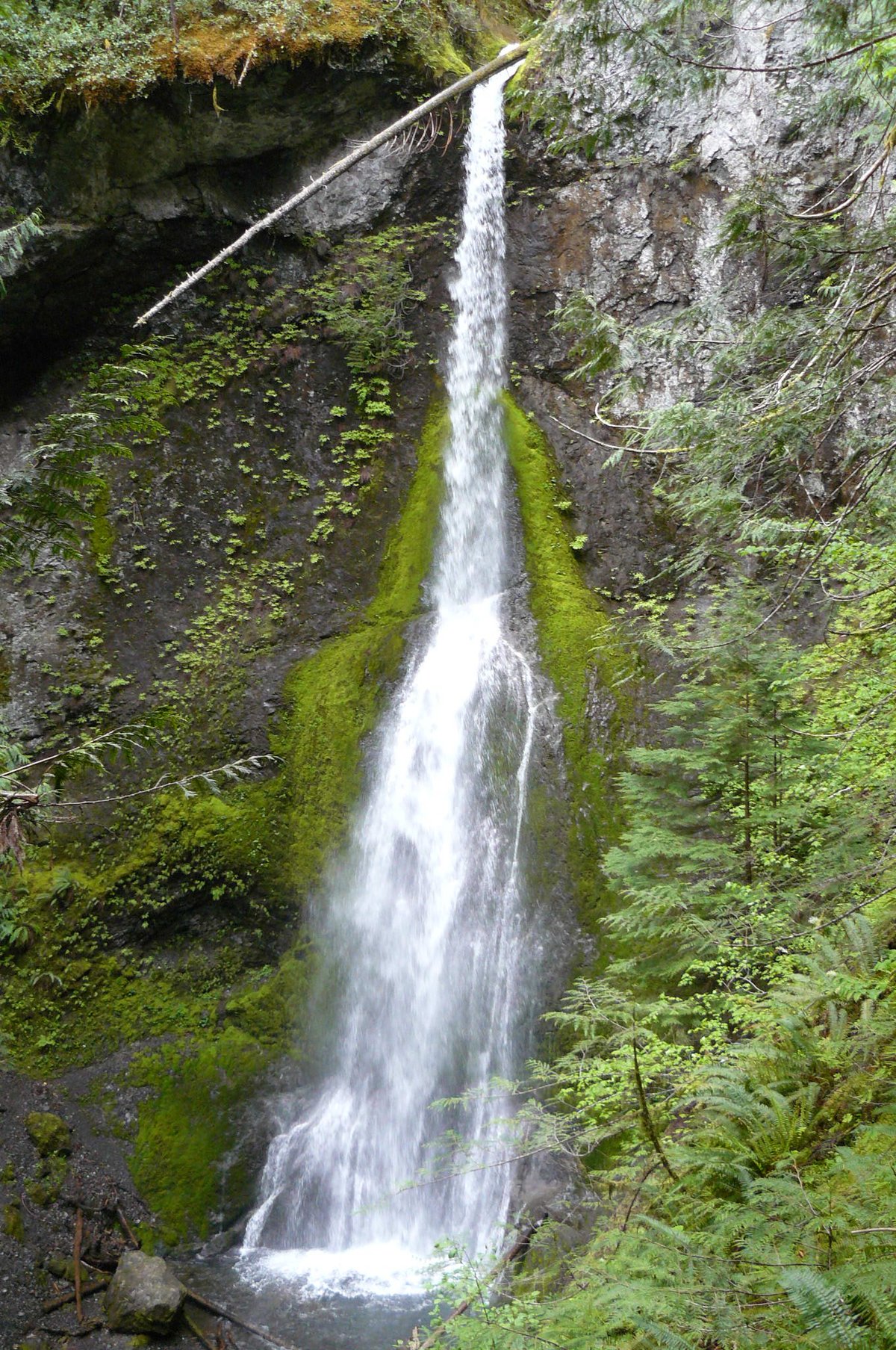 Alder Creek Falls