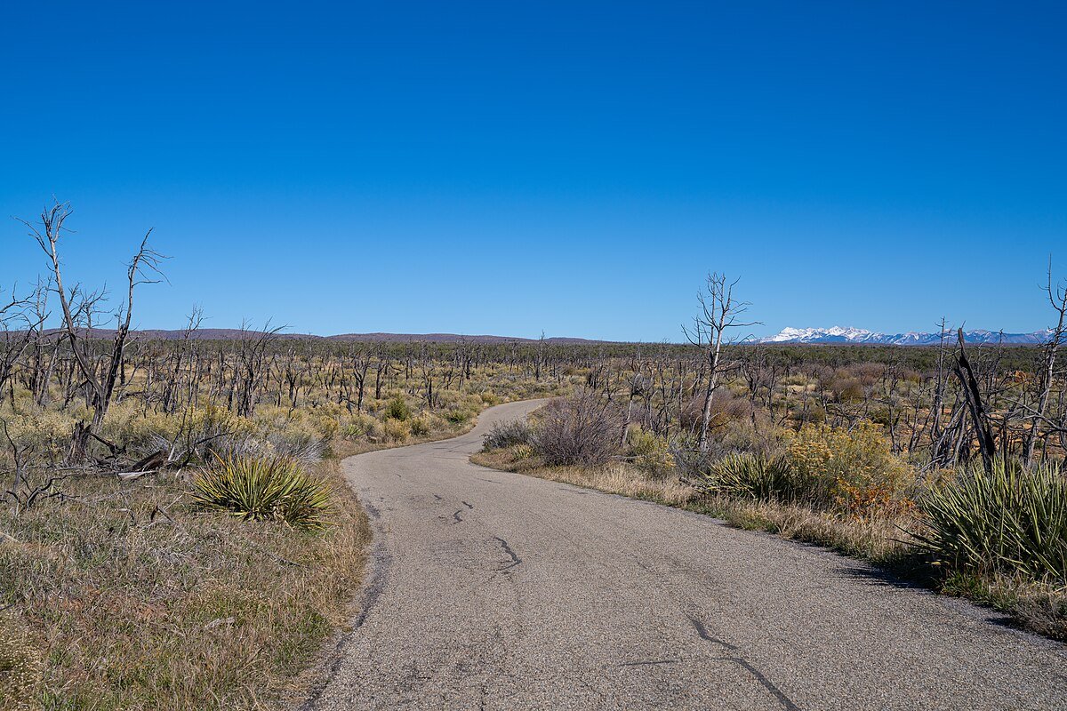 Chapin Mesa Lookout