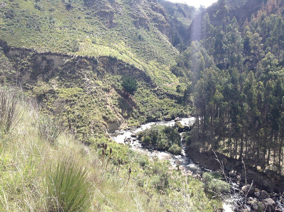 Laguna Yana-cocha