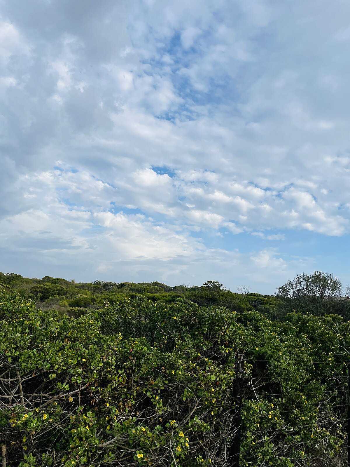 Winterstrand