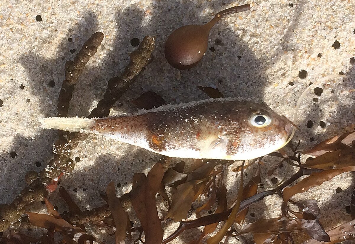 2 Mile Beach